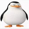 =