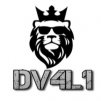 DV4L1